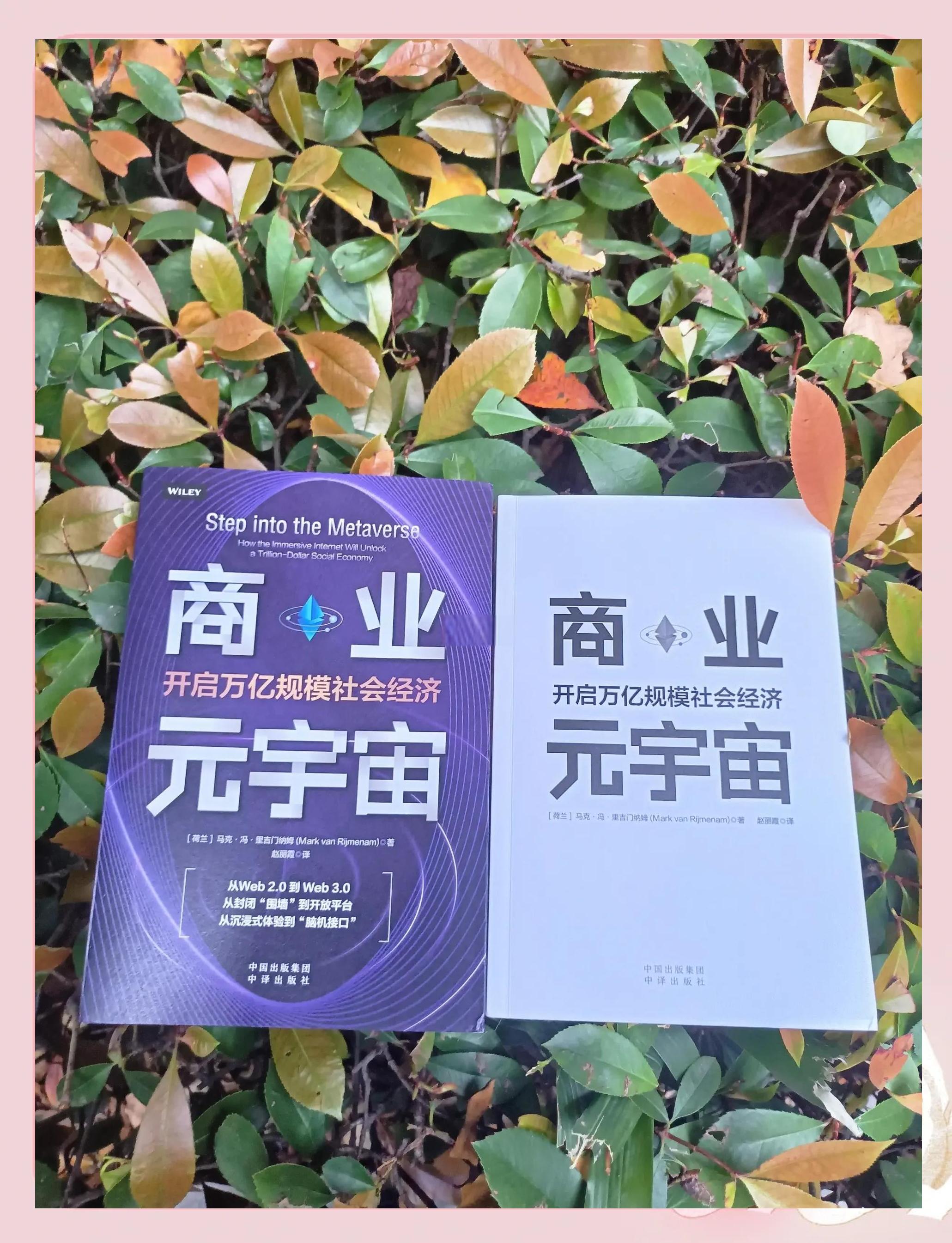 关于元宇宙与区块链关注成本与收益，市场前景广阔。的信息