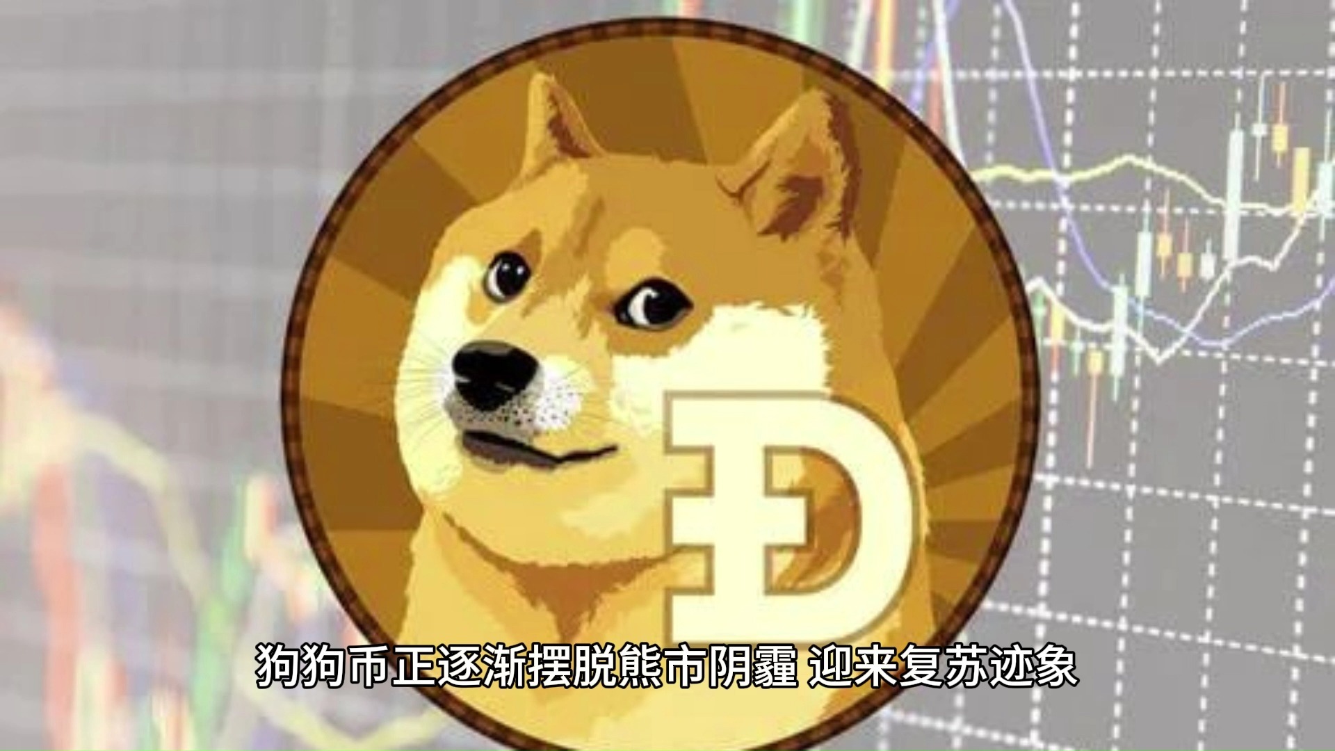 狗狗币上扬势惊人，一夜飙升ADA%，加密市场沸腾