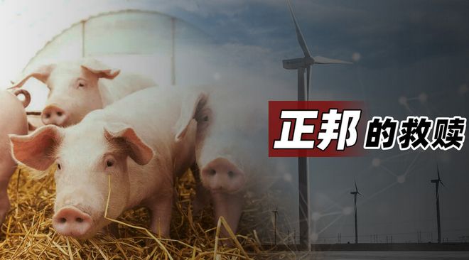 OKX创下年内新高，上扬幅高达25.96%，还能追吗？